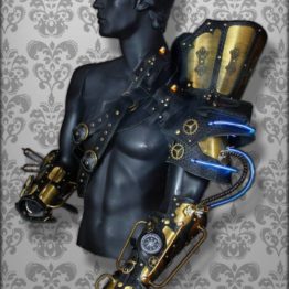 Armors Arm